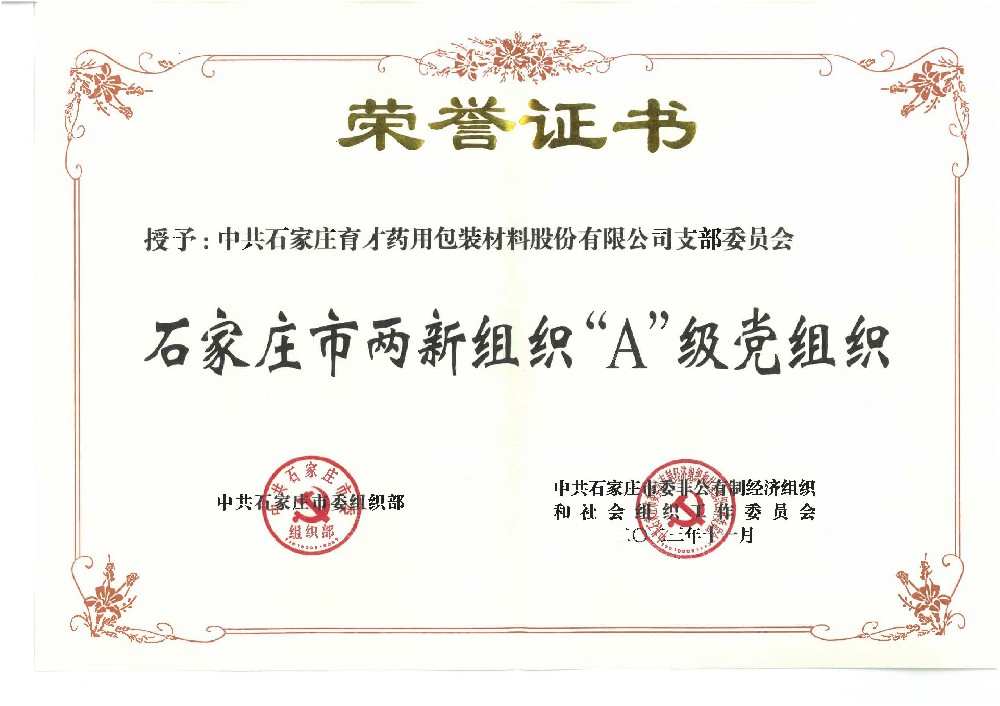 石家莊市兩新組織“A”級黨組織