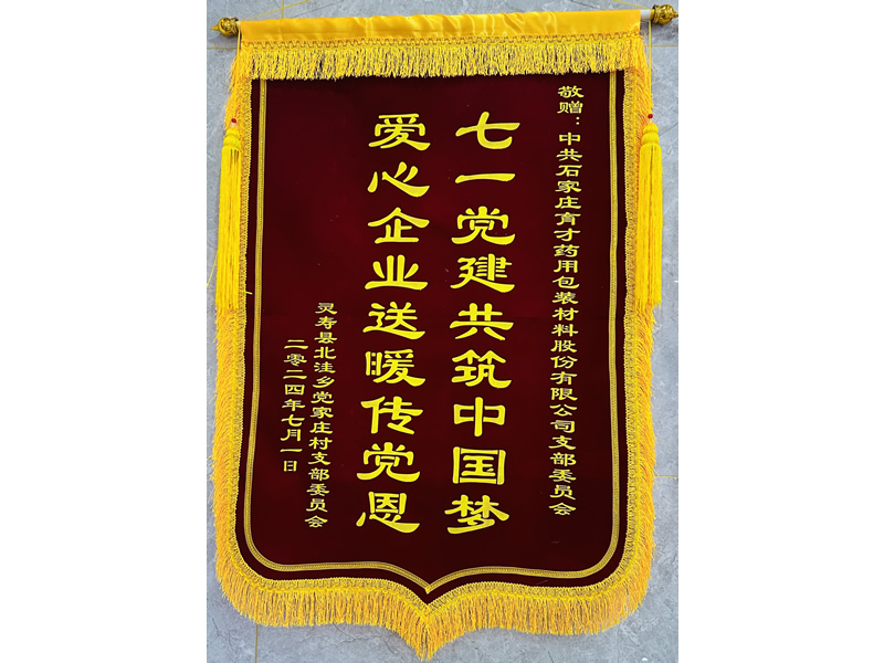 錦旗(黨家莊村支部委員會)